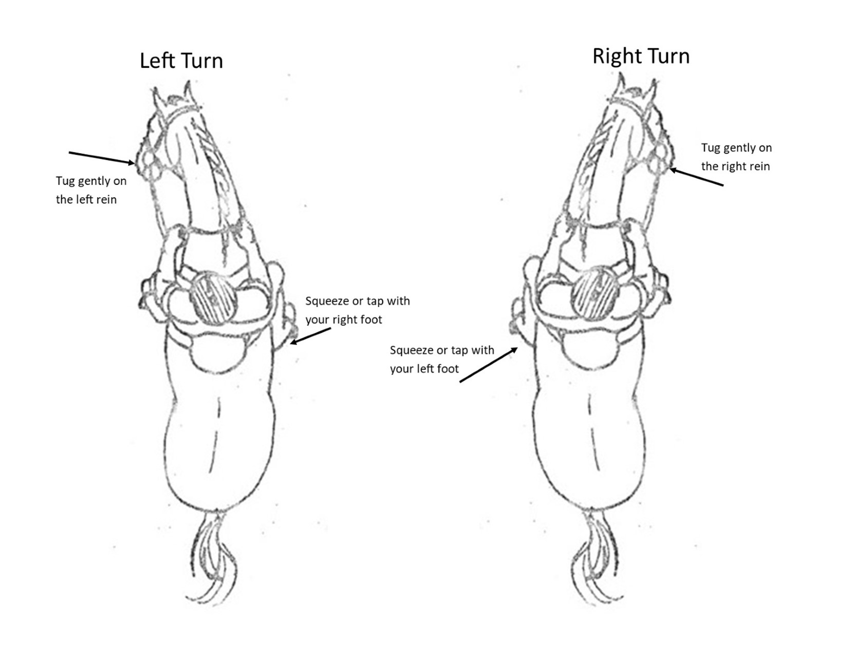 BFR Section #14 Turns